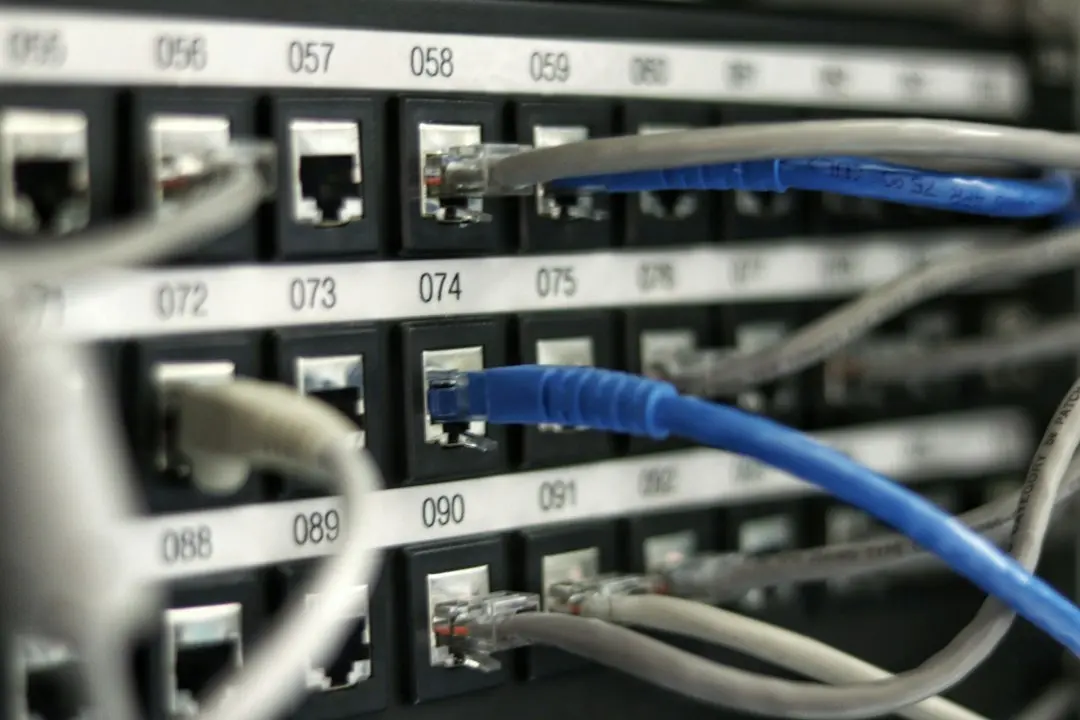 Ethernet cables plugged into a network patch panel.